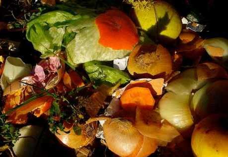 Vegetable-based plastics provide environmentally friendly alternative
