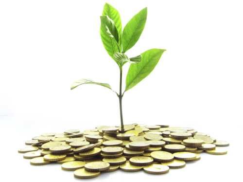 OECD report shows economic growth not slowed by green policies