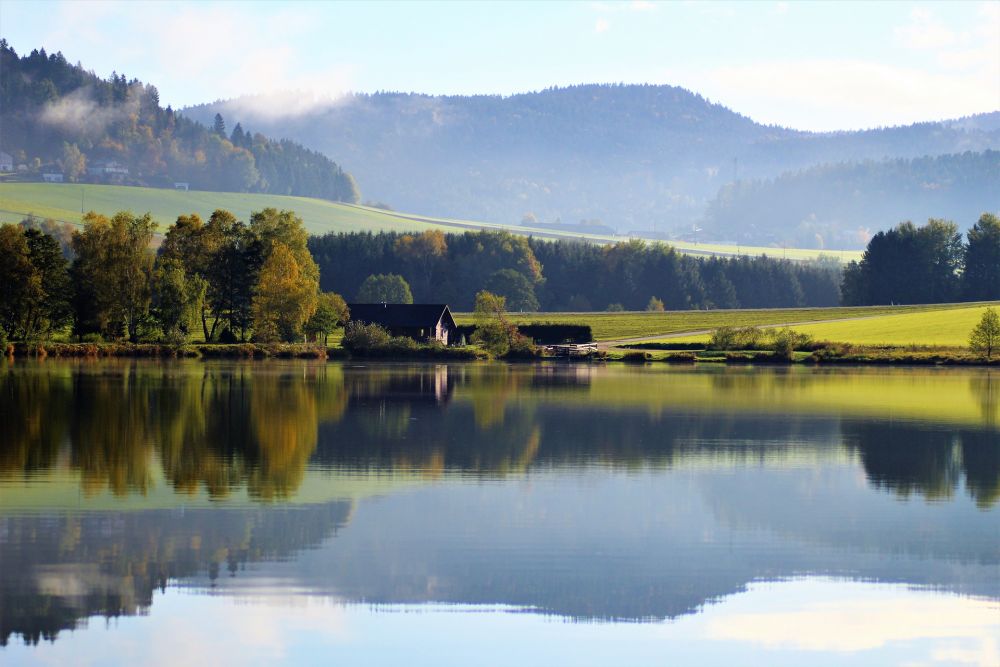 The Austrian Federal Forests authority looks for solutions to innovate its wet storage facilities of timber