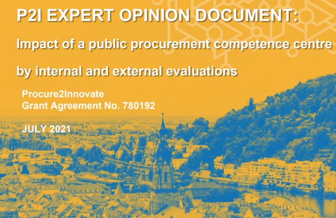 New P2I expert opinion document: Evaluating the impact of a public procurement competence center